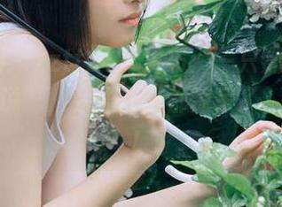“zztt21”发布：一只鹦鹉上了“奇葩说”，旁边的猫都惊呆了，哈哈哈！