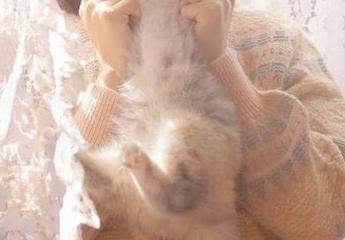 吃瓜网发布更新，界面变美了，吃瓜心情跟着嗨起来！