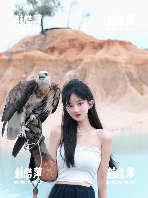 吃瓜网苹果版，黑料满天飞，拿好你的花生，别让瓜子掉地上哦！