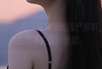 网页里隐藏的国产黑料，像是在追寻失落的幽默。