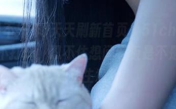 天天刷新首页，51chigua黑料不打烊，忍不住想问老板是不是在干违法生意？